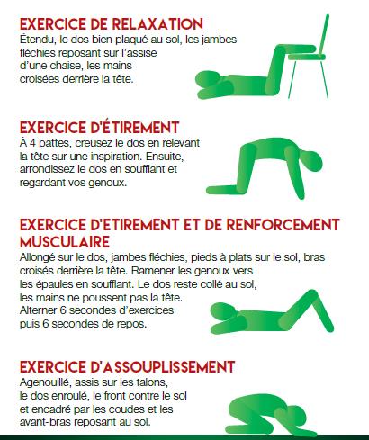 exercices mal de dos